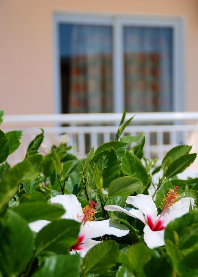 Diagoras Hotel All Inclusive Faliraki Ngoại thất bức ảnh